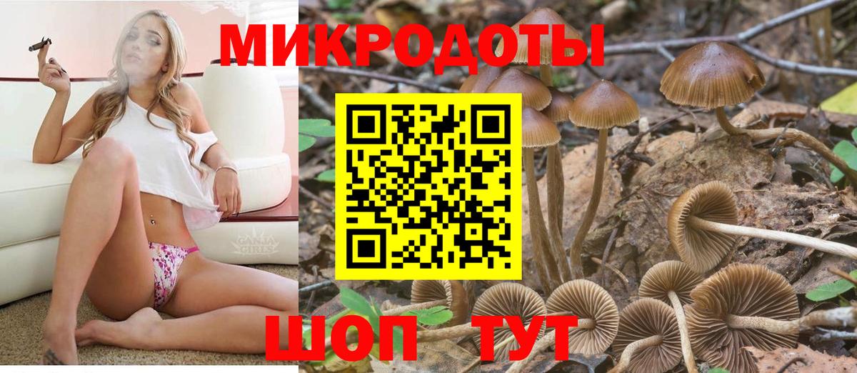 Галлюциногенные грибы MAGIC MUSHROOMS Борзя